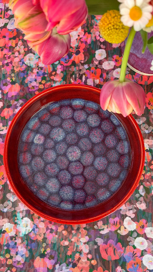 blate (bowl+plate) no.8