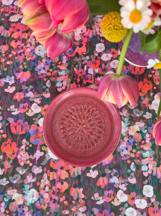 garlic grater / brush cleaner no.4