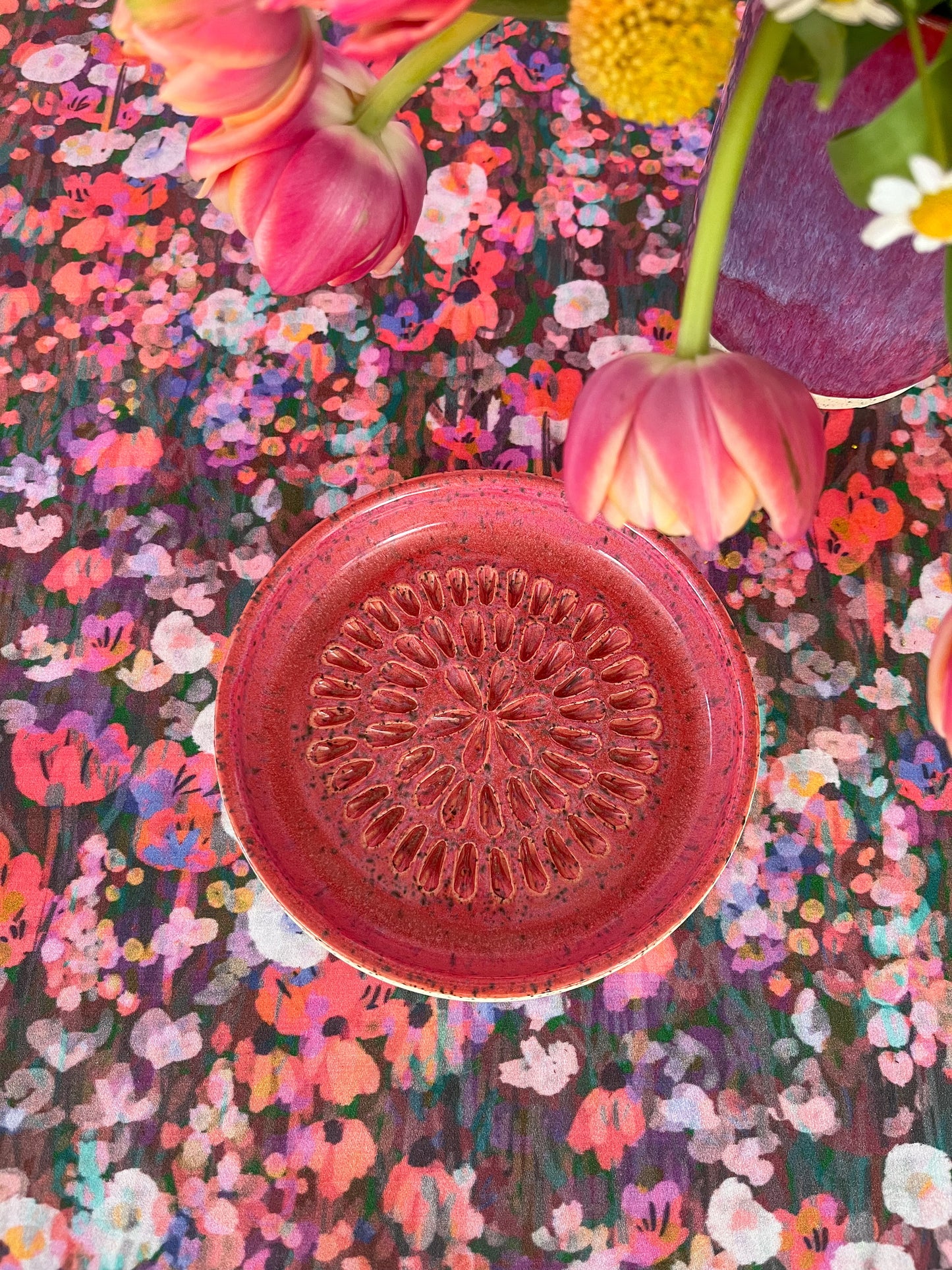 garlic grater / brush cleaner no.5