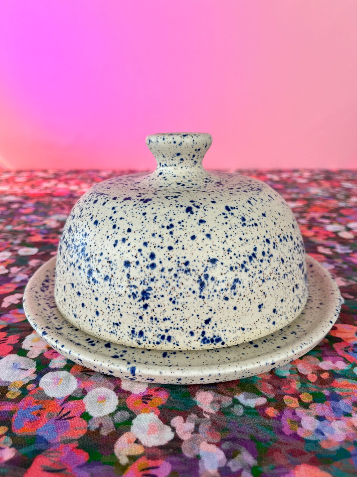 butter dish no.7