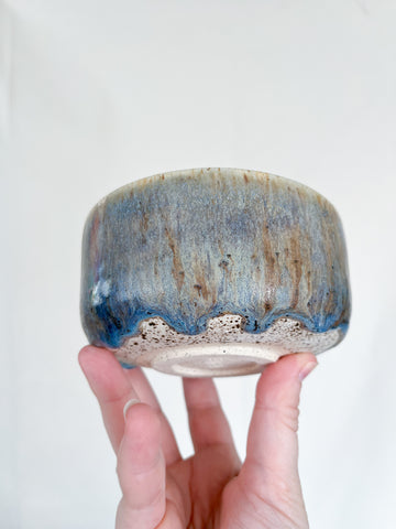 little soup bowl in ocean driftwood