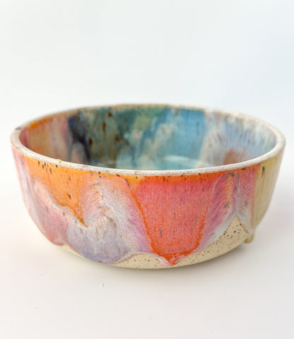 cat bowl no.1