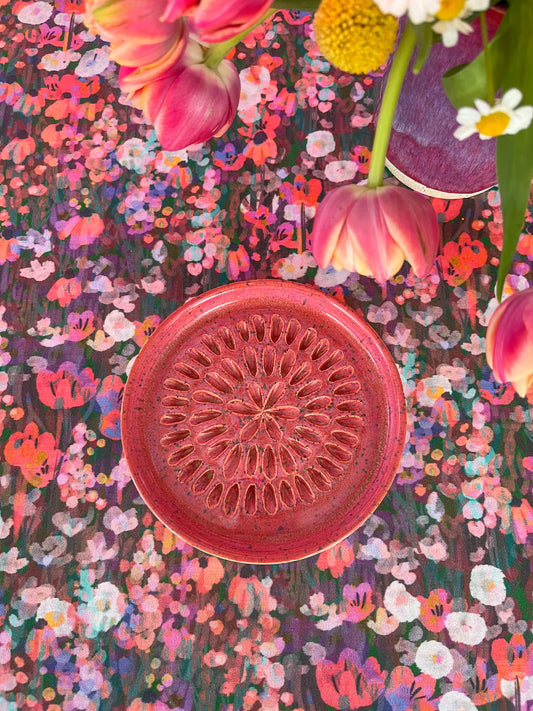 garlic grater / brush cleaner no.6