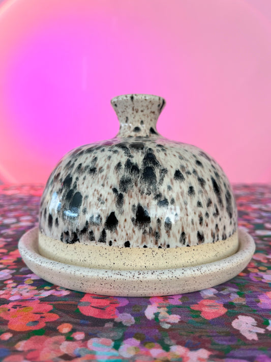 butter dish no.6
